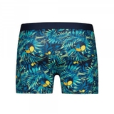 Schlag meinen Boxer Toucan Jungle blau/print boxershort